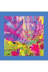 Fire Reds, Pinks And Purples: The Past Is A Garden I Never Fed (sky blue vinyl) LP
