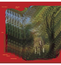 Swaitat, Atef  & Abu Ali: Palestinian Bedouin Psychedelic Dabka Archive LP