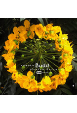 Darla Budd, Harold: Avalon Sutra LP