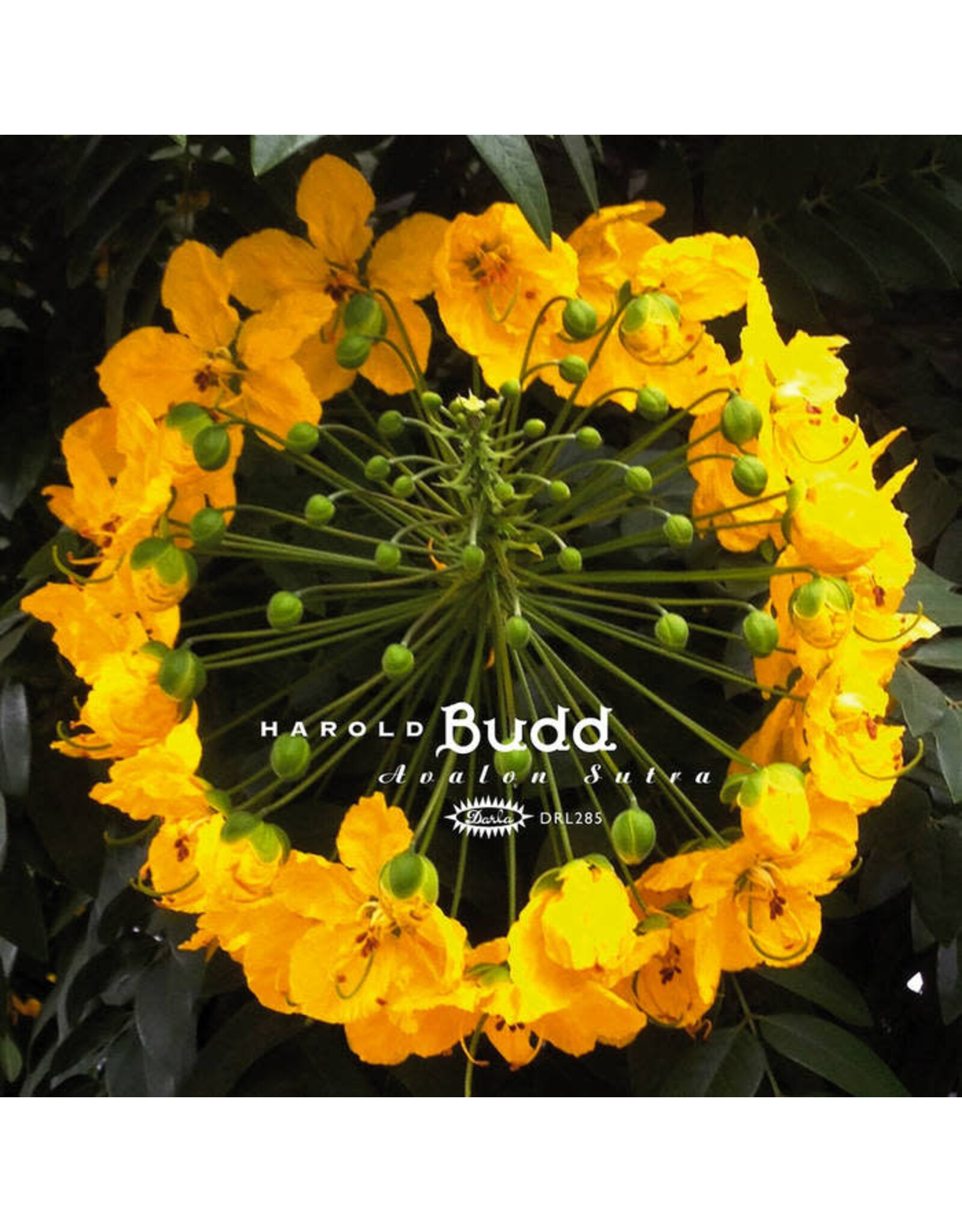 Darla Budd, Harold: Avalon Sutra LP