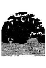Guruguru Brain Kikagaku Moyo: House in the Tall Grass LP