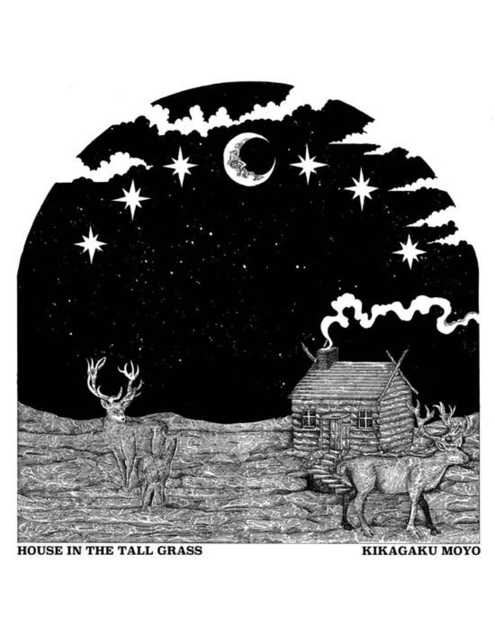 Guruguru Brain Kikagaku Moyo: House in the Tall Grass LP