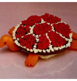 k Sharp Pins: Turtle Rock LP