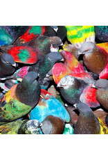 XL Blawan: SickElixir LP XL Blawan: SickElixir LP