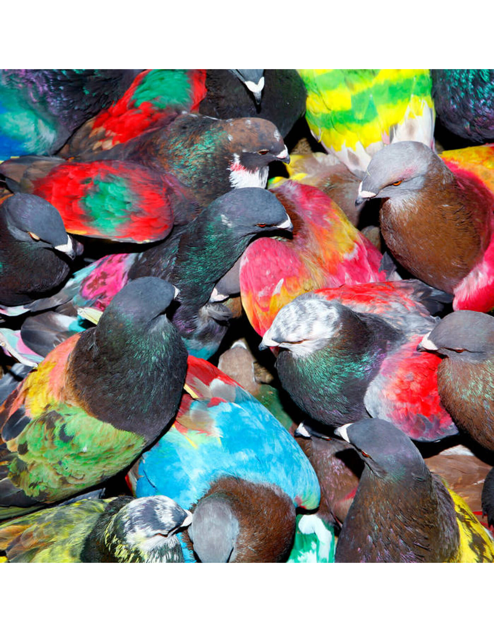 XL Blawan: SickElixir LP