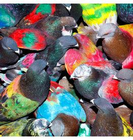 XL Blawan: SickElixir LP