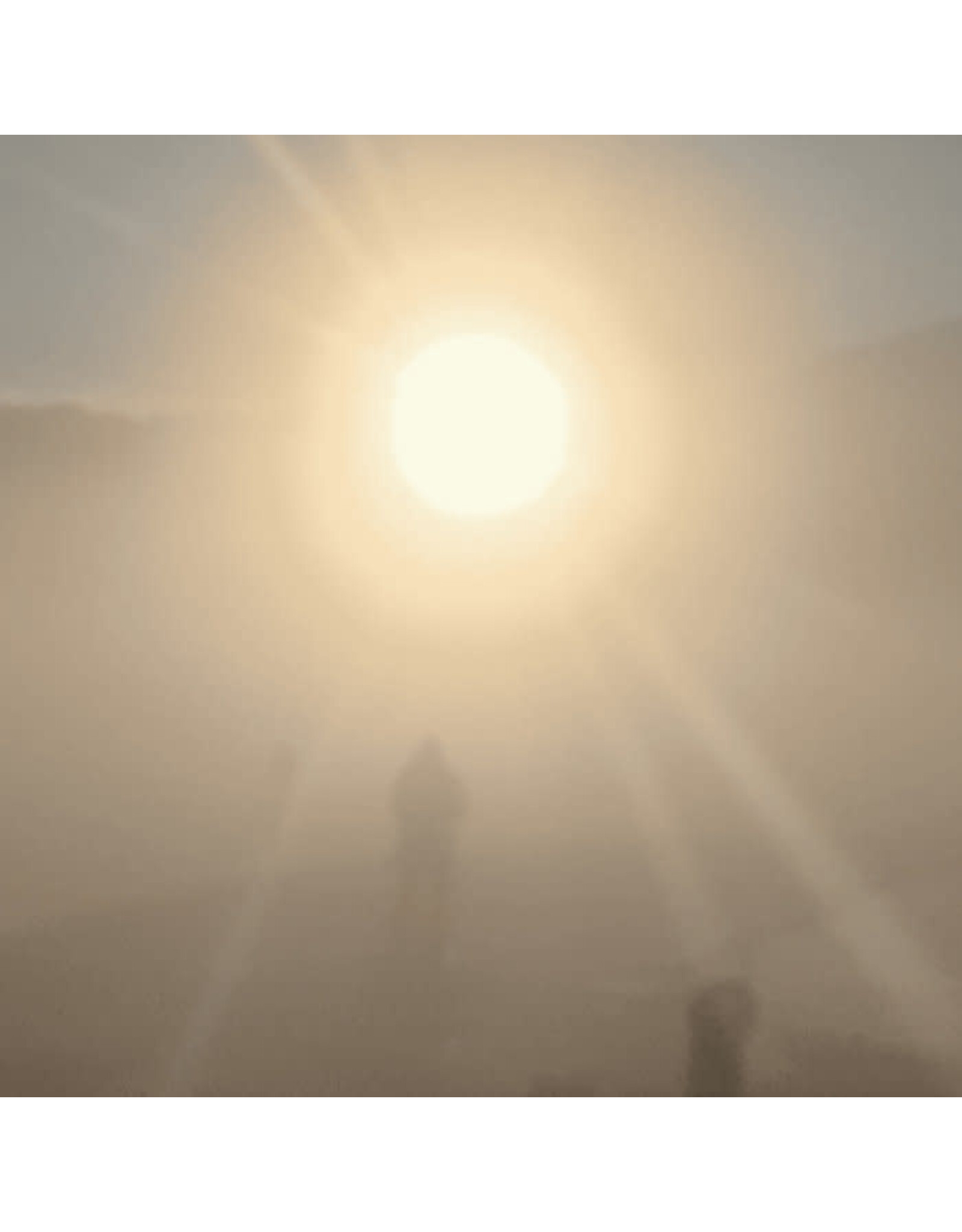 Stroom Zeisig, Florian TM: A New Life LP