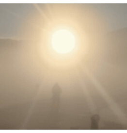 Stroom Zeisig, Florian TM: A New Life LP Stroom Zeisig, Florian TM: A New Life LP