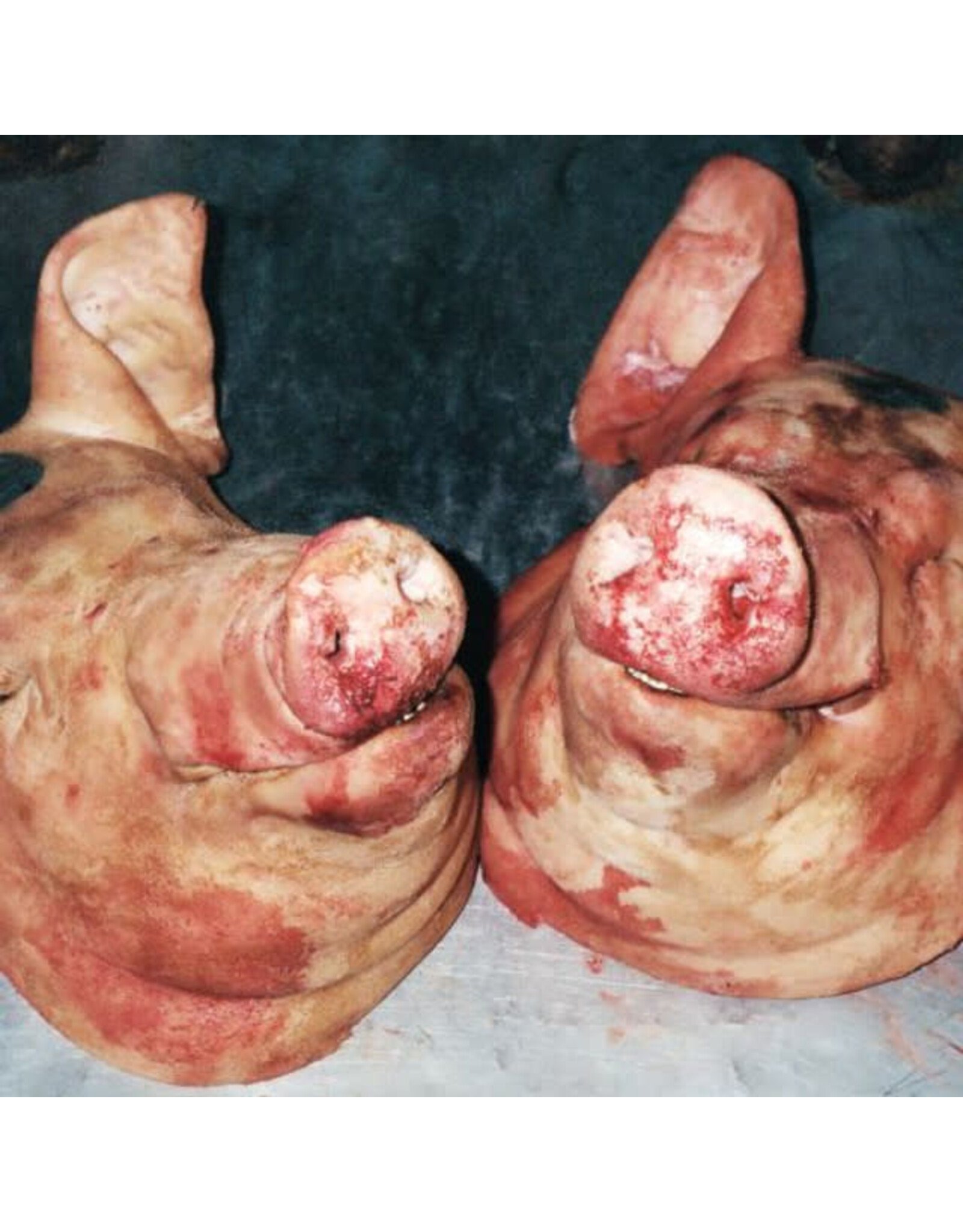 Backwoodz Armand Hammer & The Alchemist: Haram LP