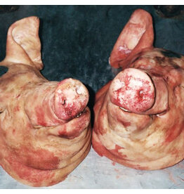 Backwoodz Armand Hammer & The Alchemist: Haram LP