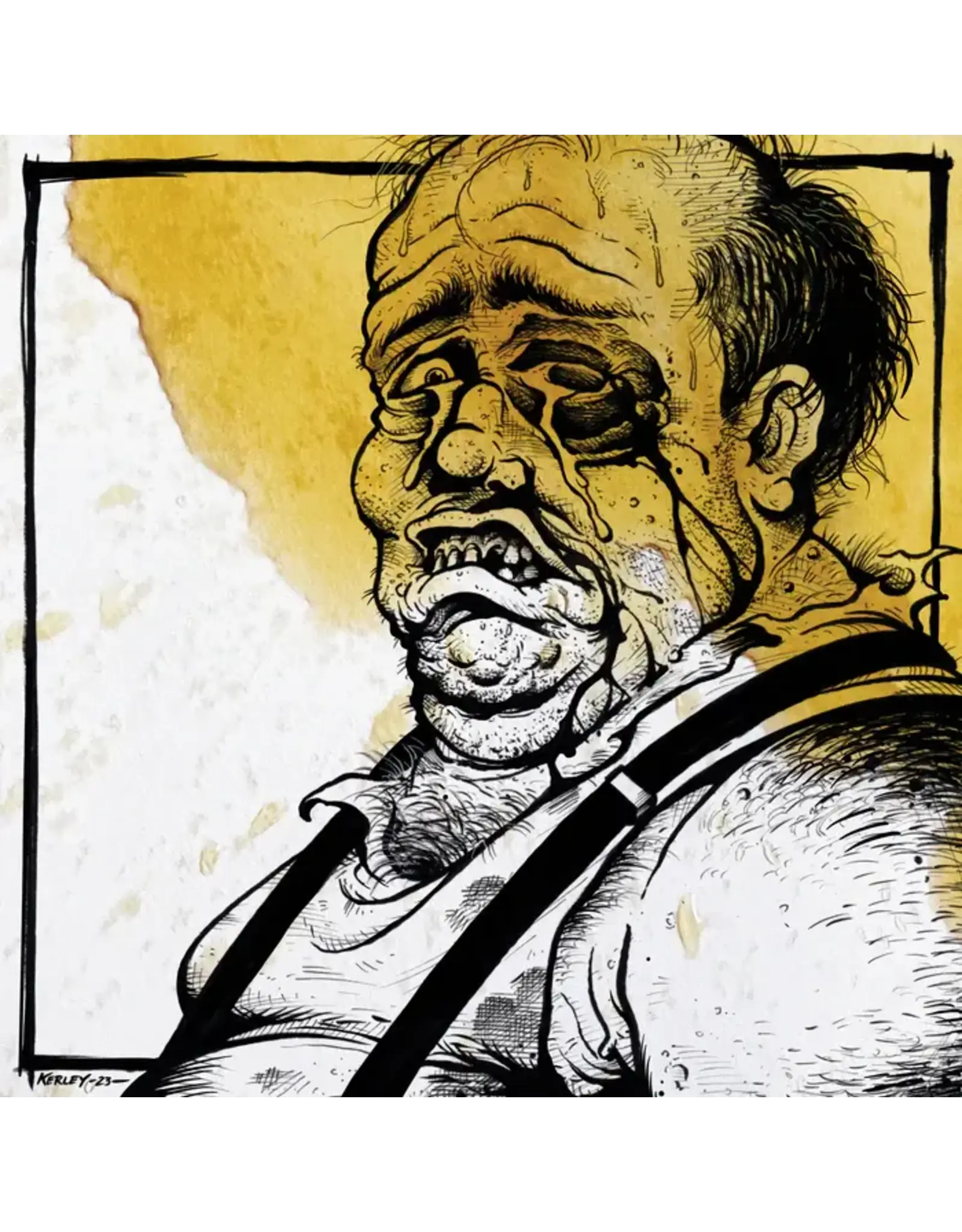 Skinhead: Everything Was Beautiful, Nothing Hurt LP