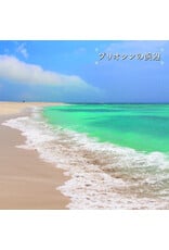 We Are Busy Bodies Isoda, Ken-ichiro: Beach of the Pliocene LP