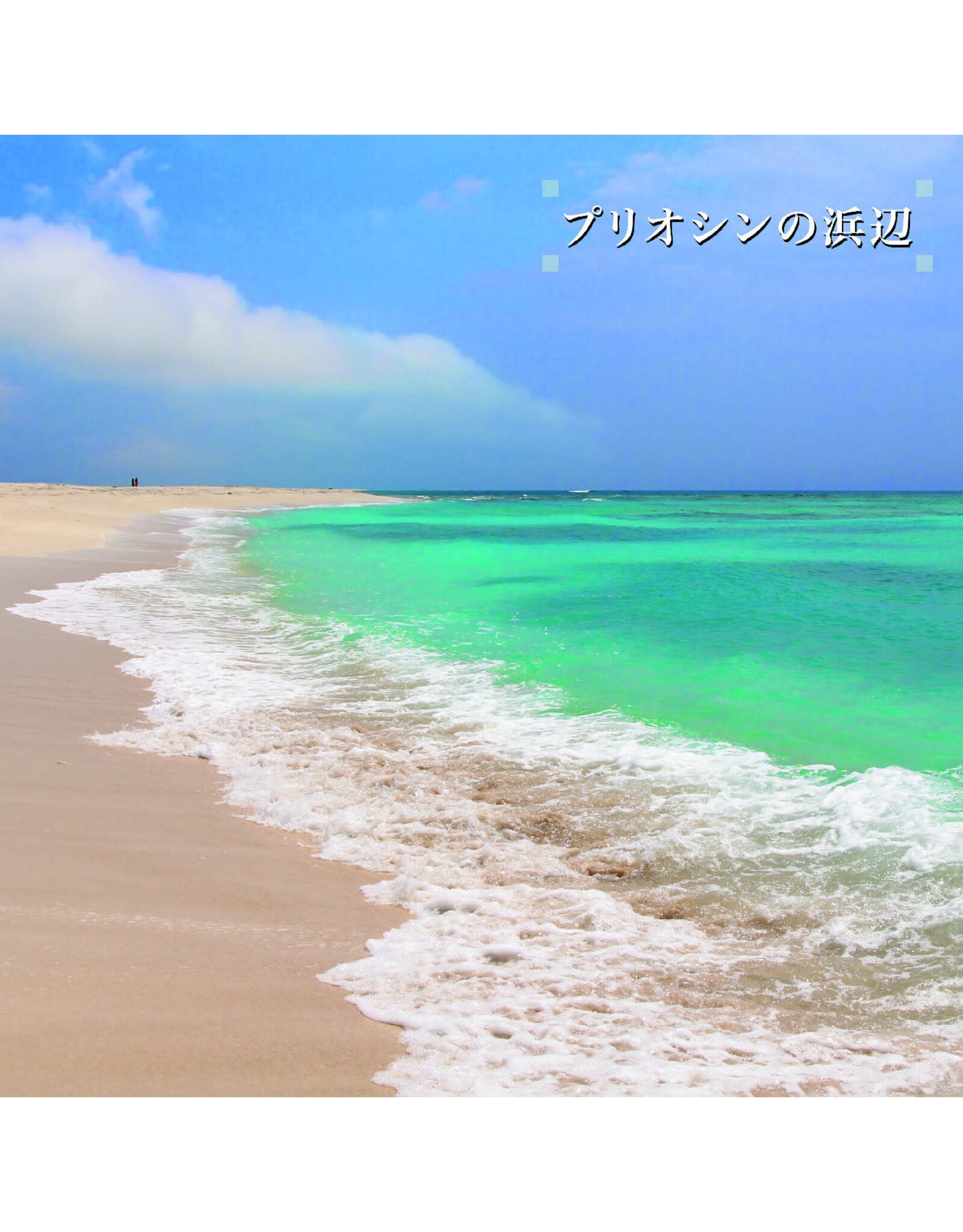 We Are Busy Bodies Isoda, Ken-ichiro: Beach of the Pliocene LP