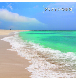 We Are Busy Bodies Isoda, Ken-ichiro: Beach of the Pliocene LP