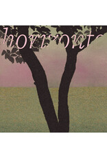 Holuzam funcionário: horizonte LP