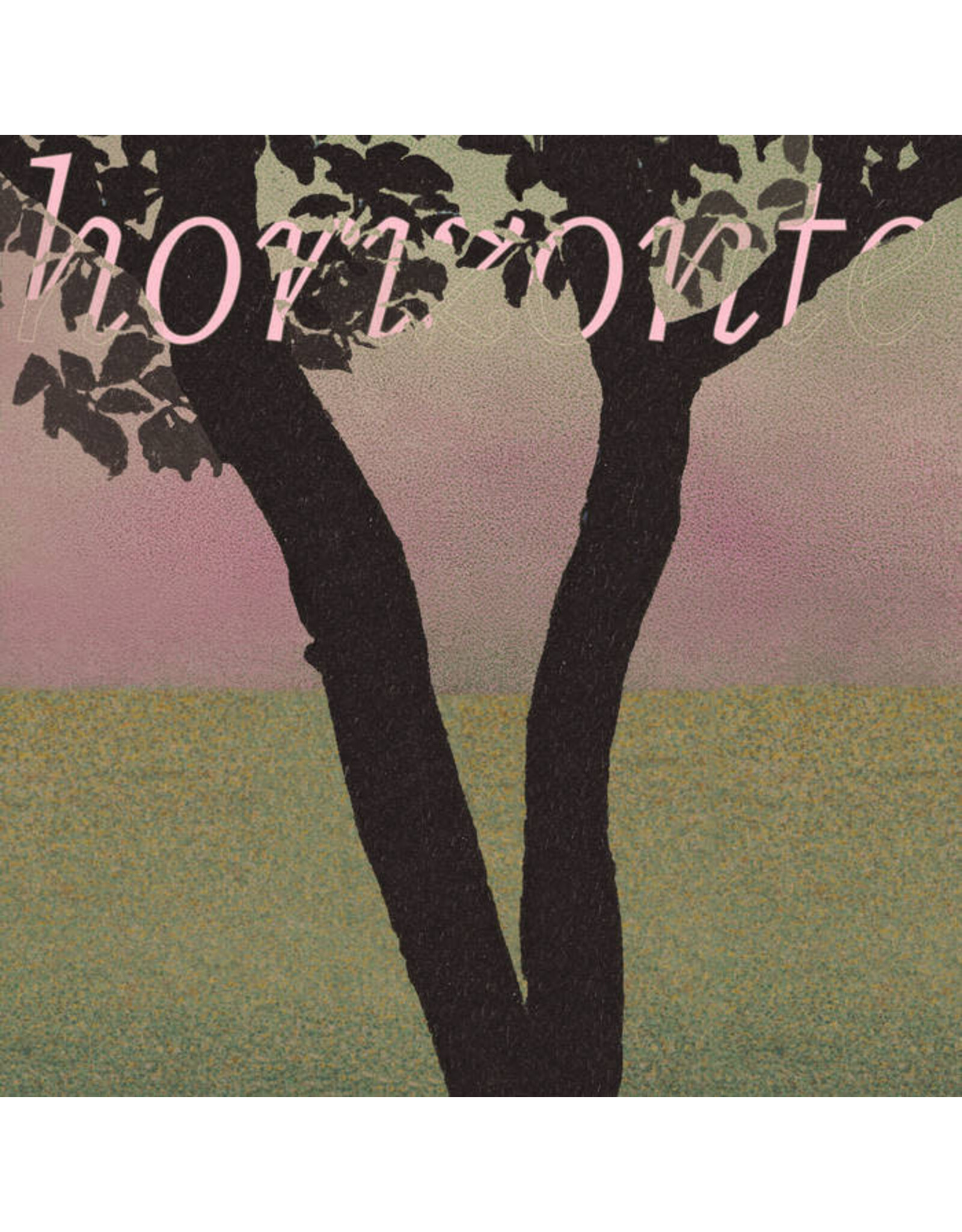 Holuzam funcionário: horizonte LP