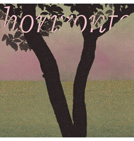 Holuzam funcionário: horizonte LP