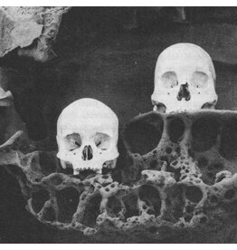 France: Destino Scifosi LP