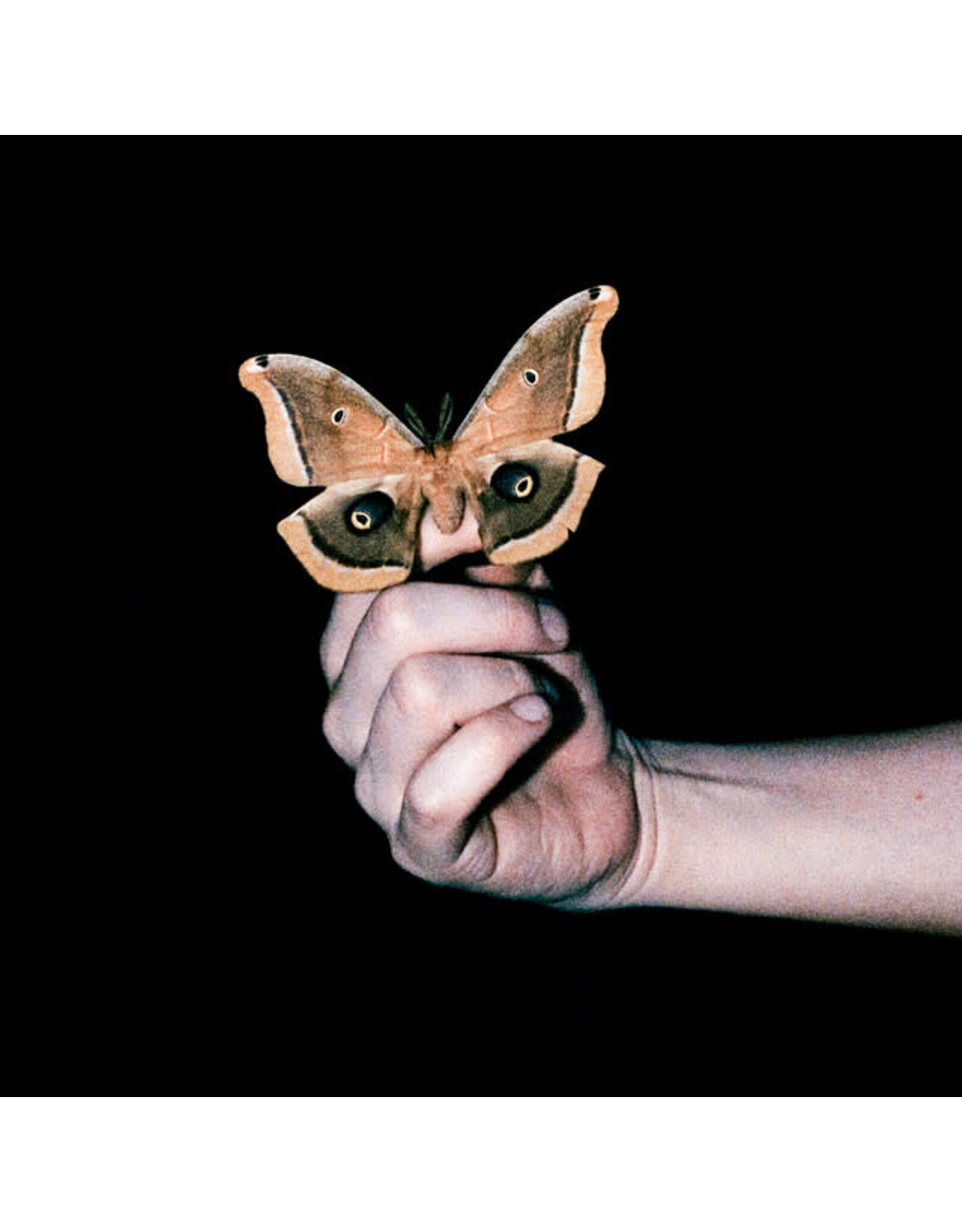 Because Soulwax: All Systems Are Lying (Indie Exclusive) LP