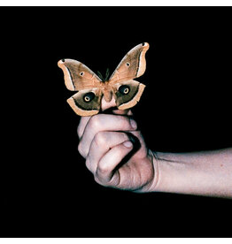 Because Soulwax: All Systems Are Lying (Indie Exclusive) LP