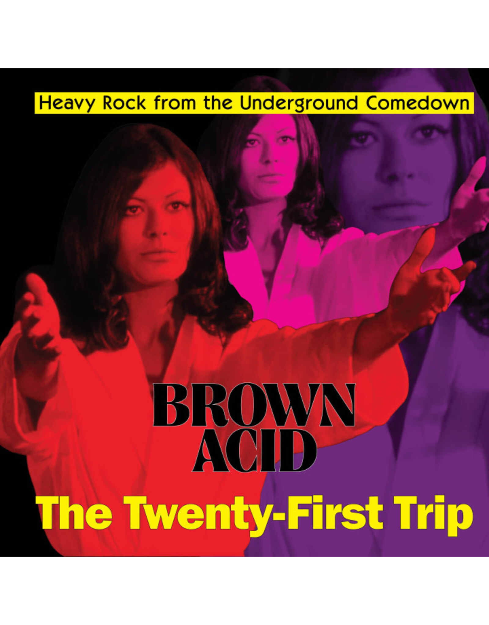 Riding Easy Various: Brown Acid - The Twenty-First Trip LP