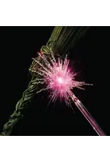 Republic Various: BF2025 - Wicked For Good  LP