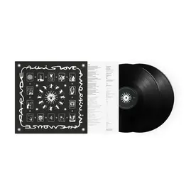 Virgin Of Monsters and Men: All is Love and Pain LP