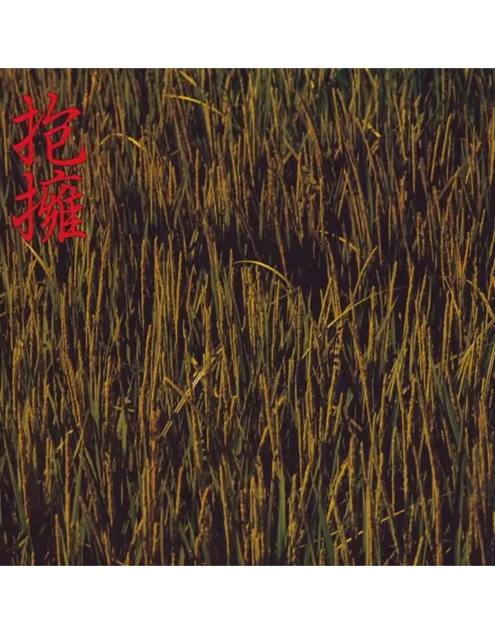 P-Vine Noidunzuri: Houyou (抱擁) LP