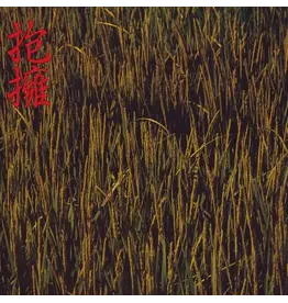 P-Vine Noidunzuri: Houyou (抱擁) LP