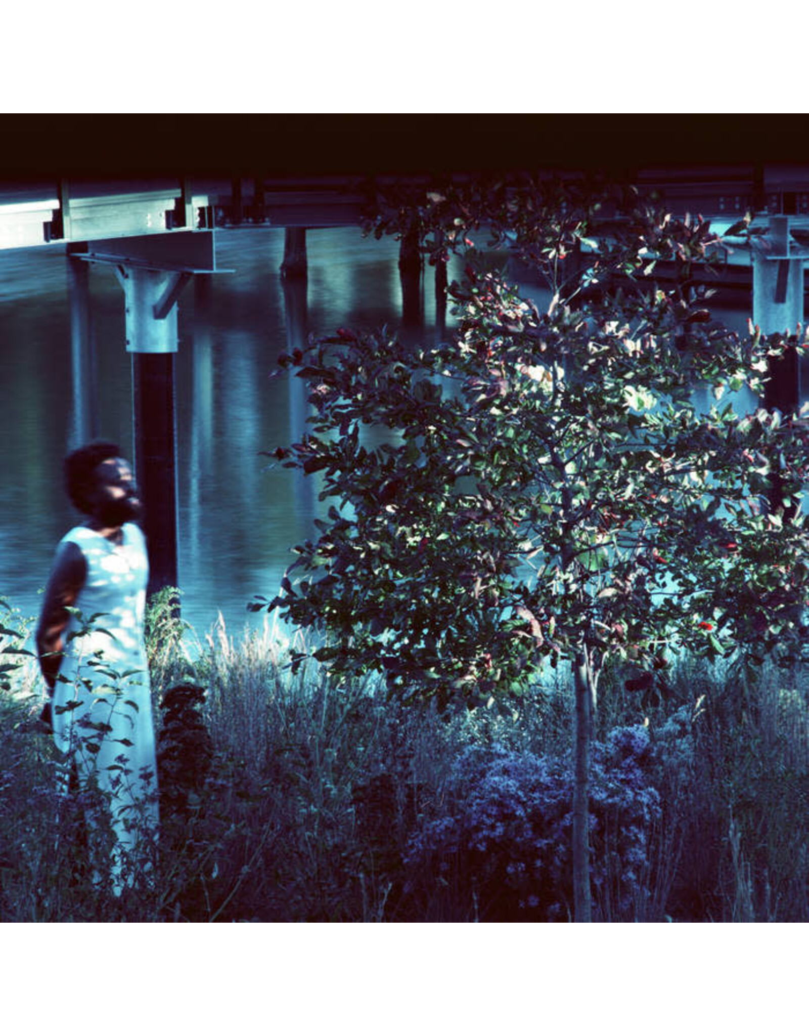 Shelter Press Ellis, JJJJJerome: Vesper Sparrow LP