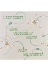 Various: Lost Coast: Some Visionary Music from California LP