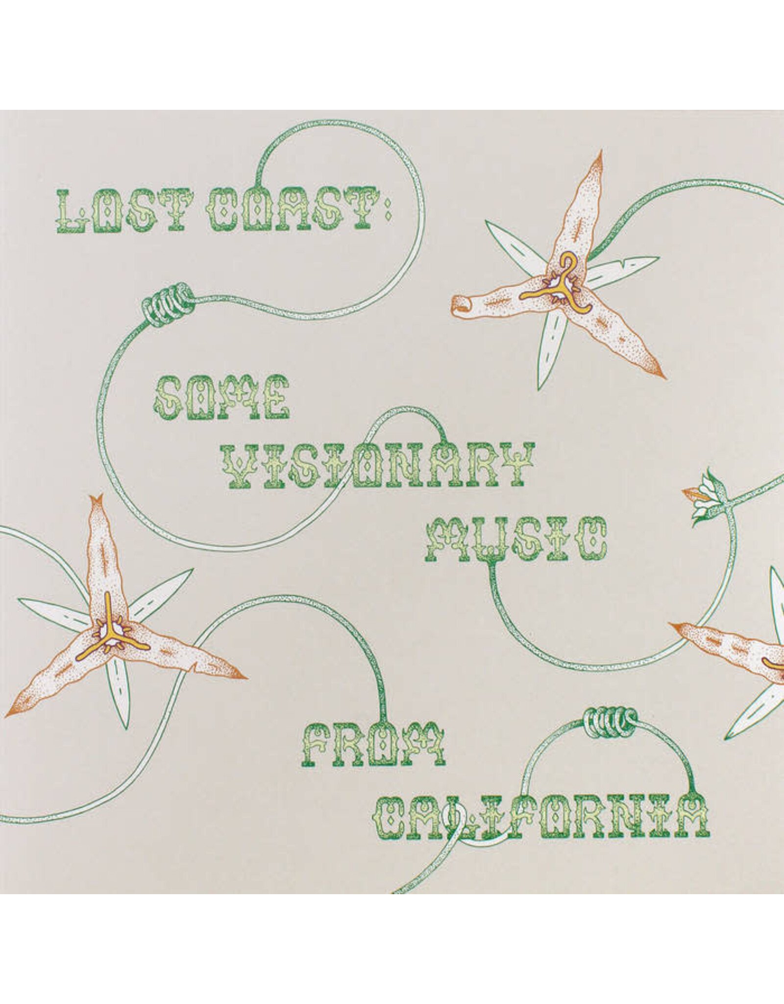 Various: Lost Coast: Some Visionary Music from California LP