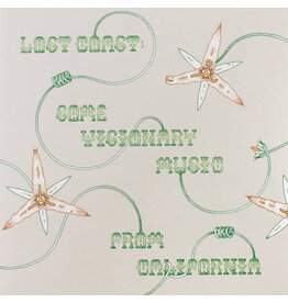 Various: Lost Coast: Some Visionary Music from California LP