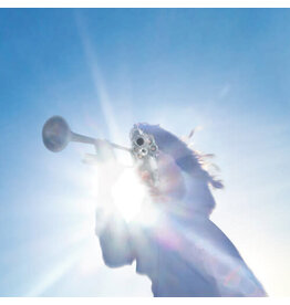 Partisan Geese: Getting Killed LP