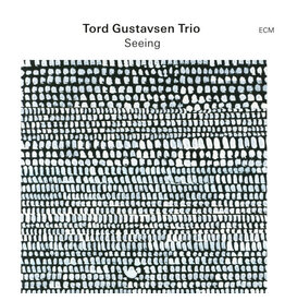 ECM Gustavsen, Tord Trio: Seeing LP