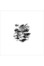 False Aralia Borgesian Term: False 06 12"