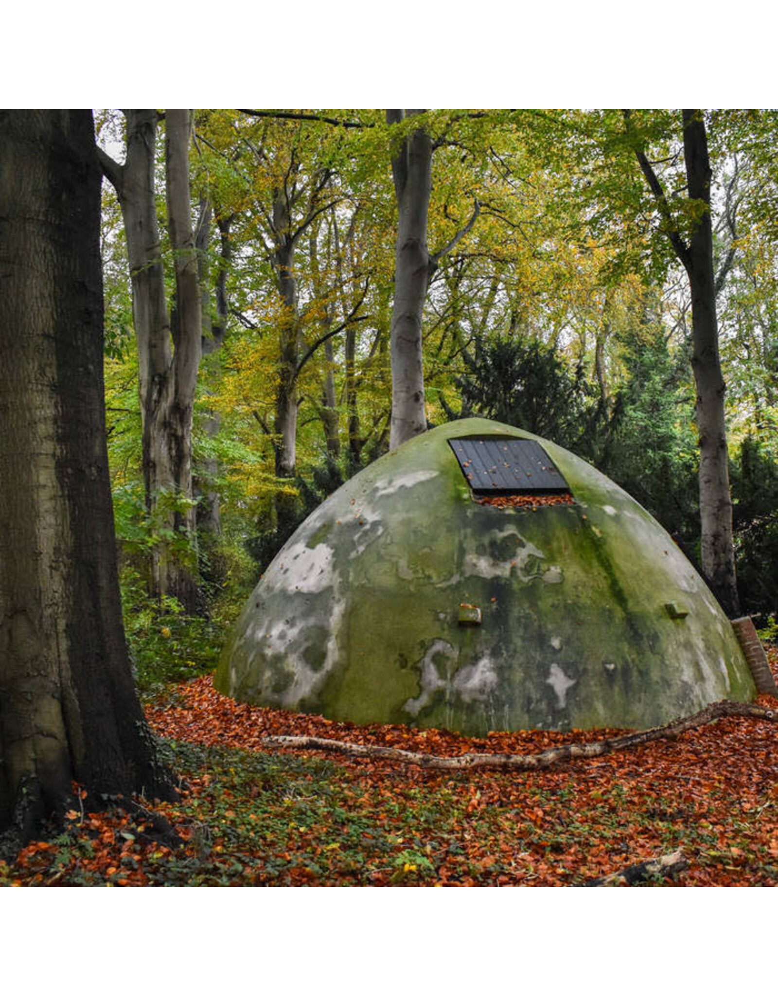 Felt In Transit: s/t LP