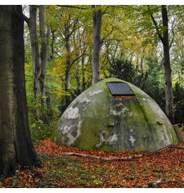 Felt In Transit: s/t LP