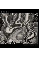 CV313: Dimensional Space LP