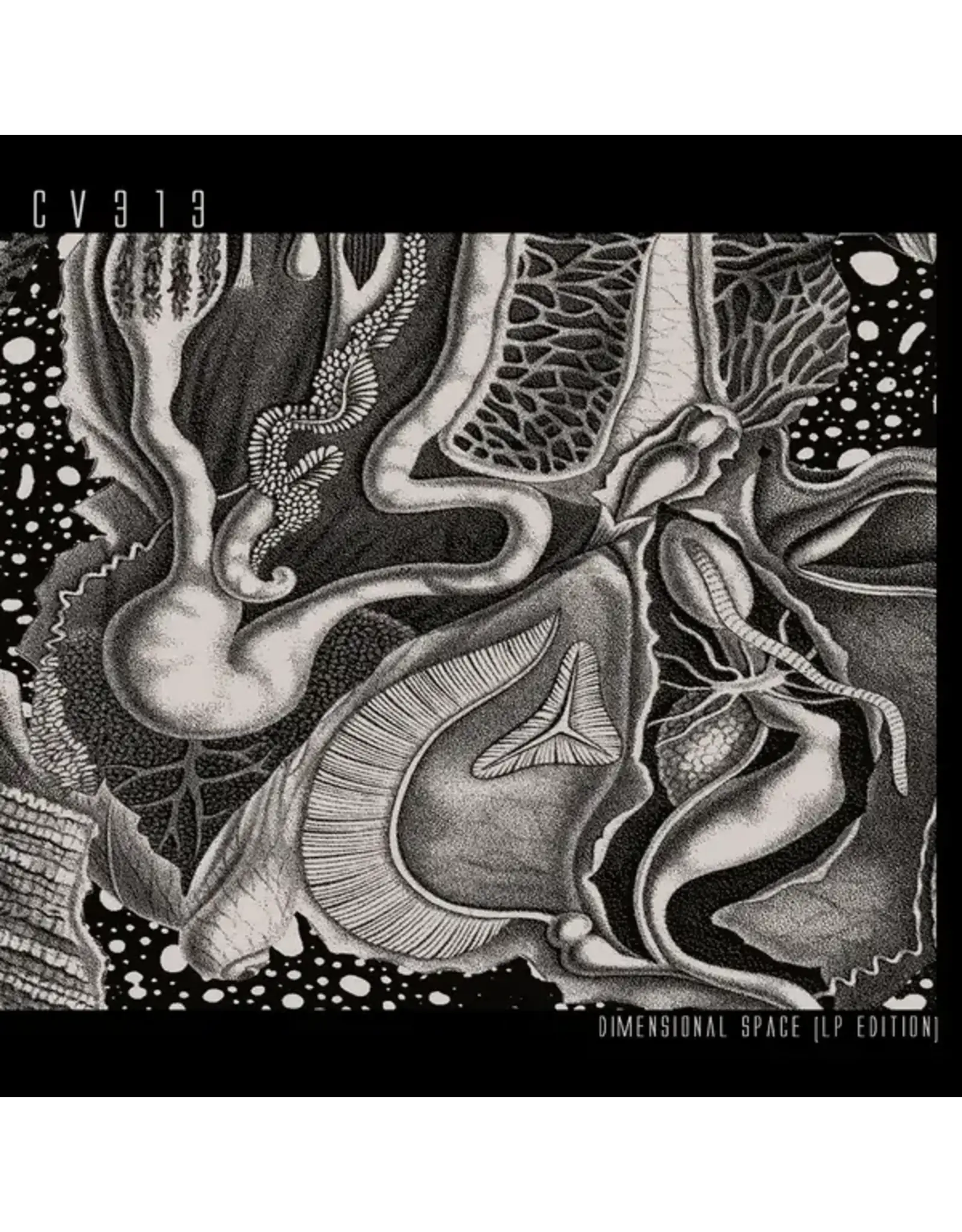 CV313: Dimensional Space LP