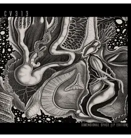 CV313: Dimensional Space LP