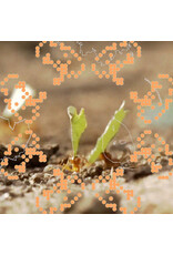 Leaving Andrew CS: ᵒ˶°´ CS