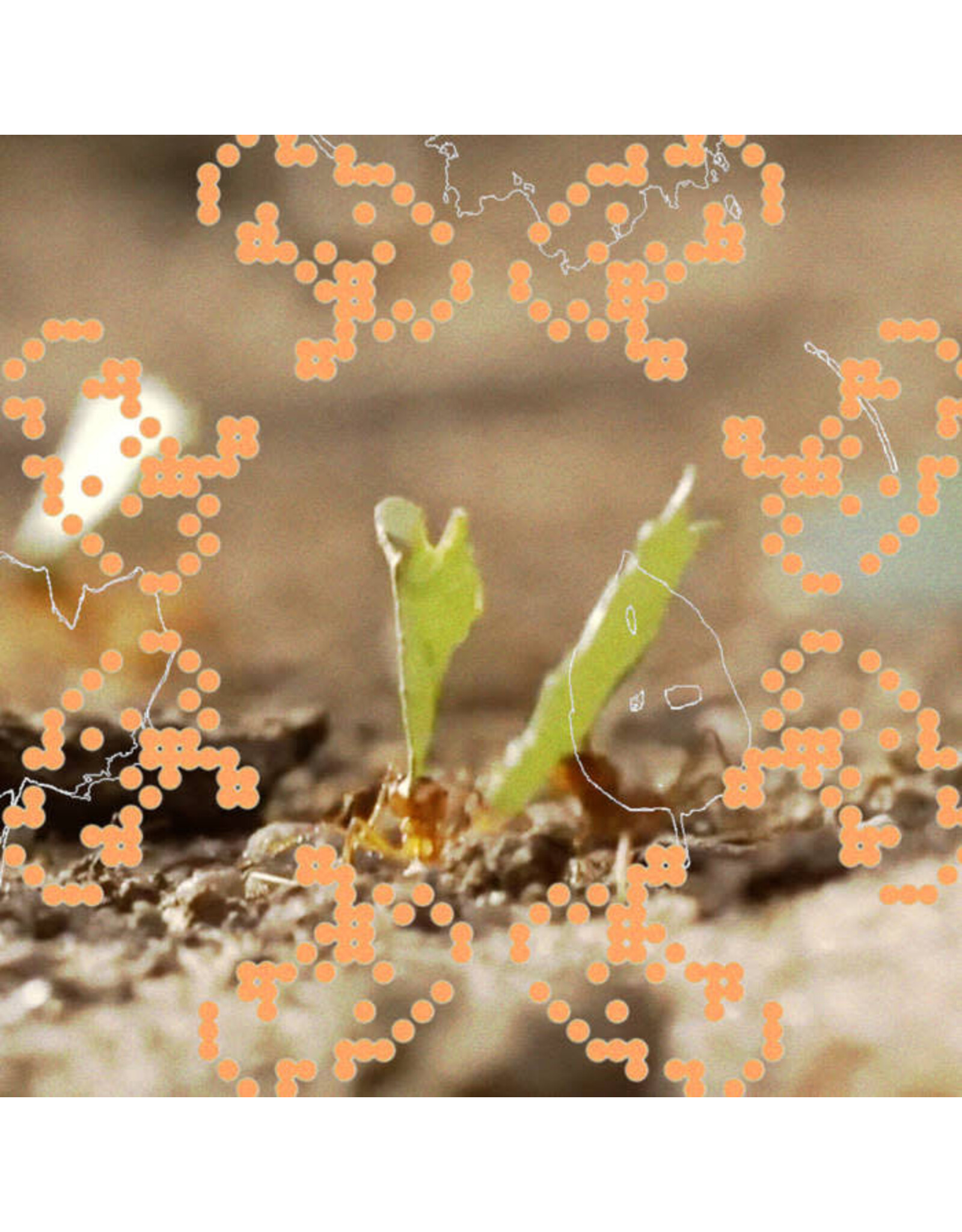 Leaving Andrew CS: ᵒ˶°´ CS