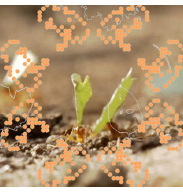 Leaving Andrew CS: ᵒ˶°´ CS