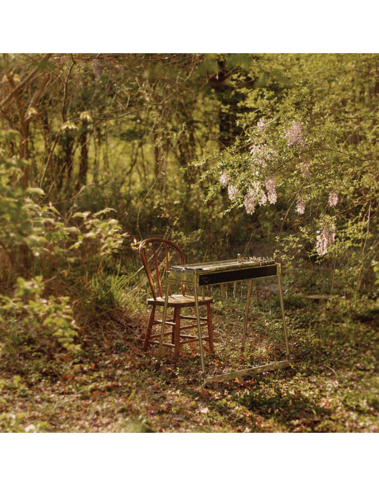 Leaving Schneider, Luke: For Dancing in Quiet Light CS