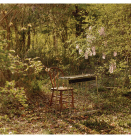 Leaving Schneider, Luke: For Dancing in Quiet Light LP