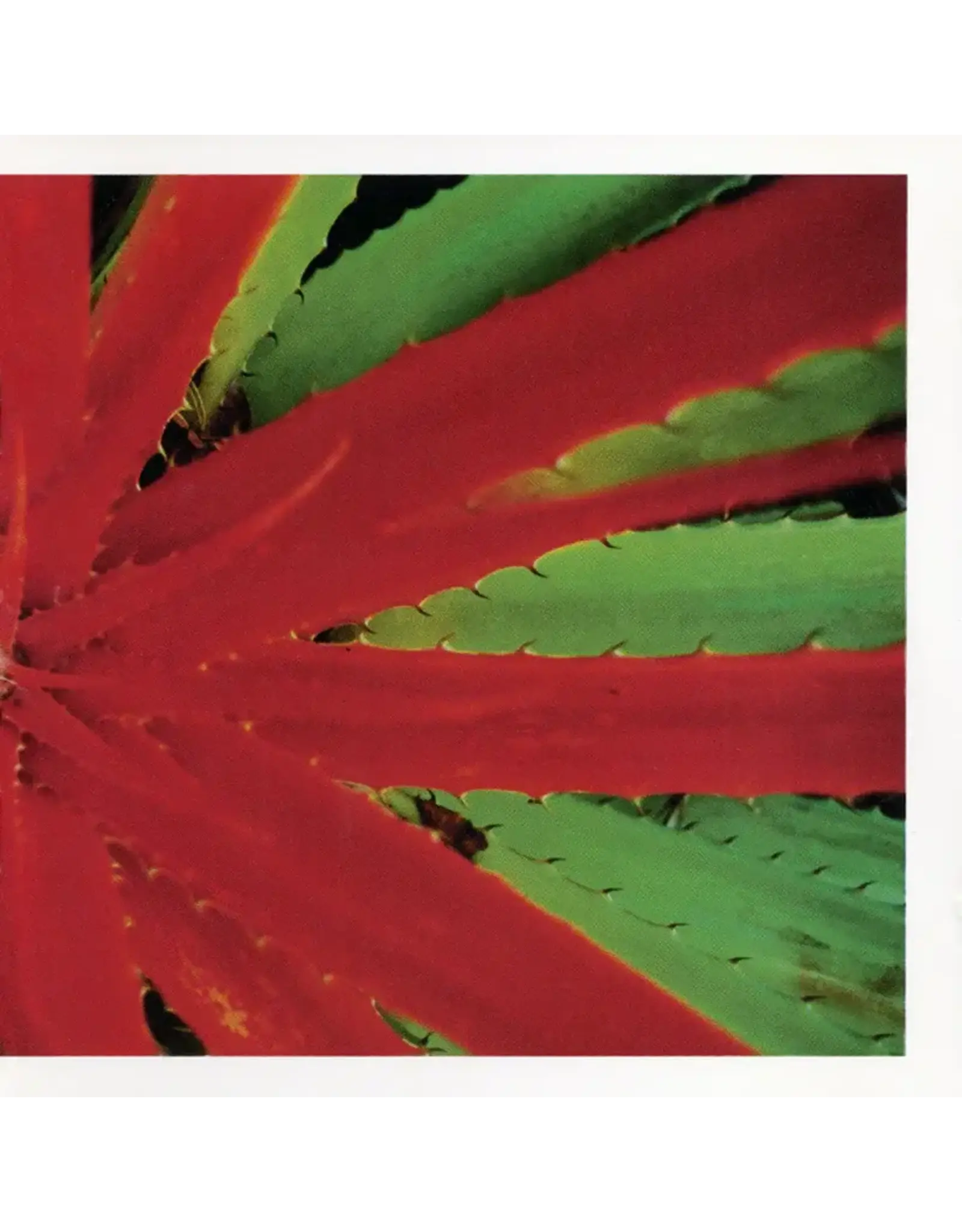 Numero Jejune: This Afternoons Malady LP