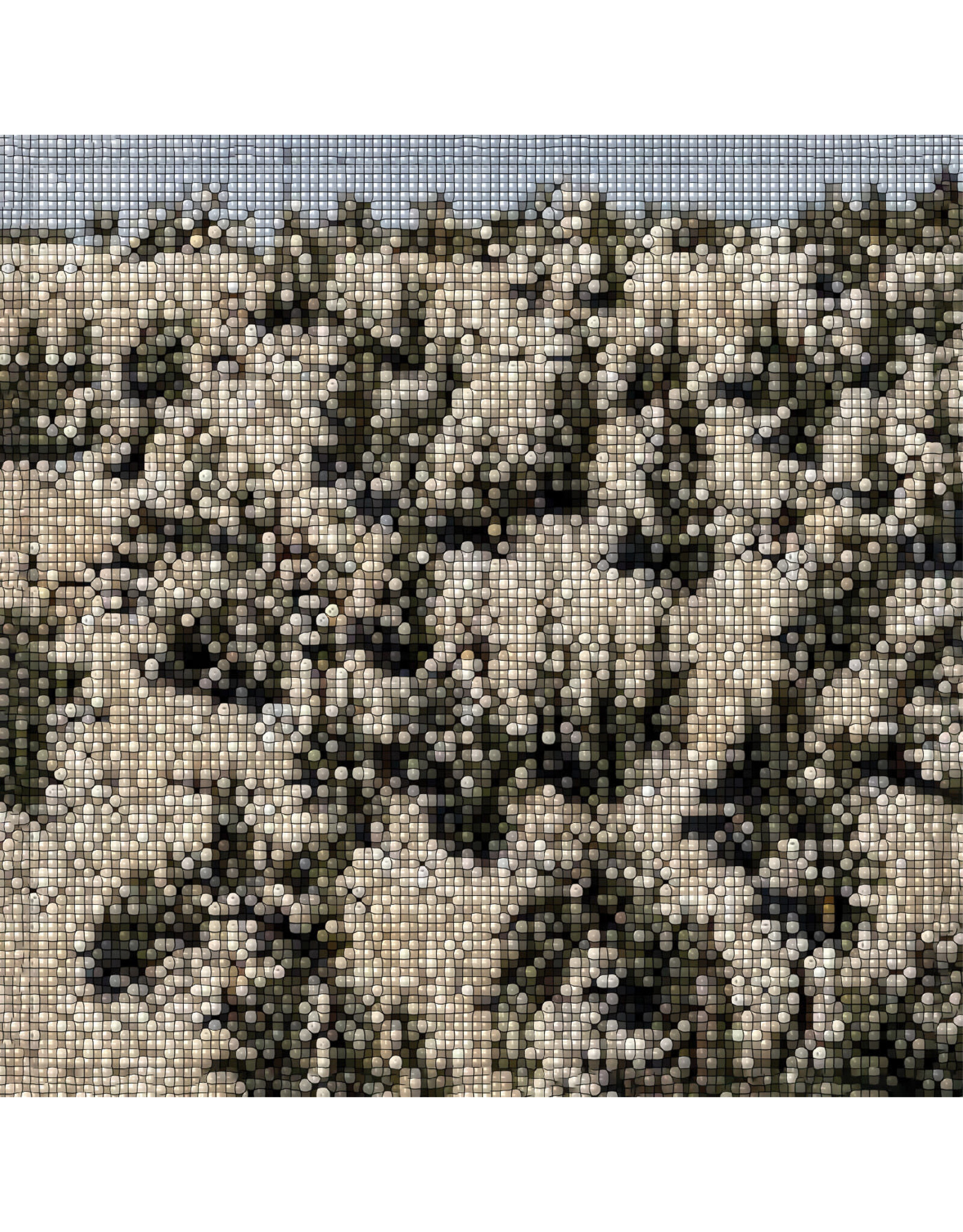 International Anthem Uhlmann, Gregory: Extra Stars (STAR DUST VINYL) LP