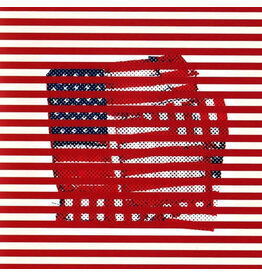 Thrill Jockey Tortoise: Standards (clear with red & white vinyl) LP