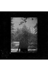 Kranky Grouper: Ruins LP